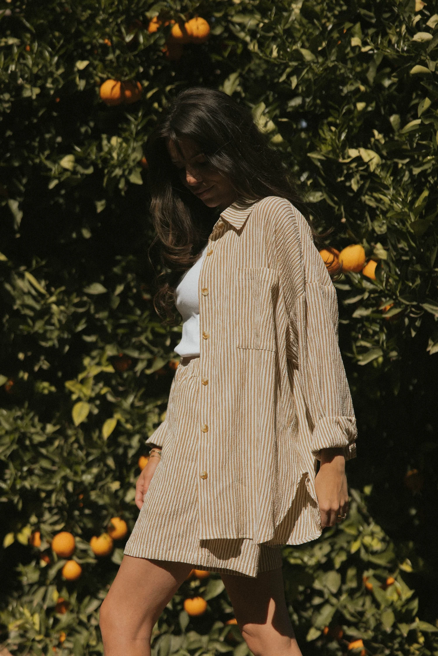 Hampton Top in Umber | Women's Pinstripe Button-Up Shirt - Image 7